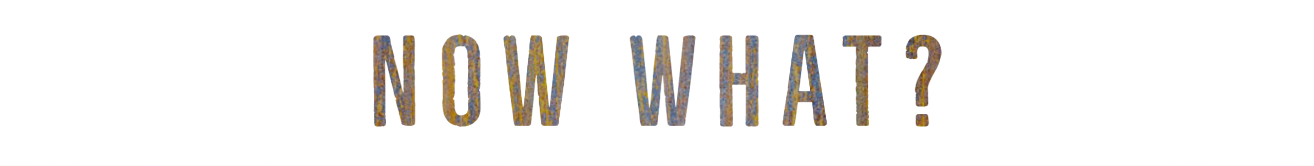 Now What-Racial Justice Challenge