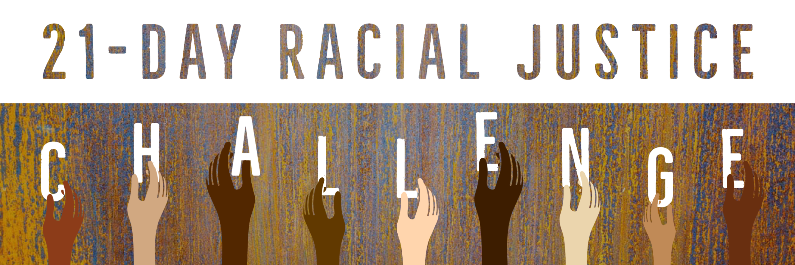 Racial Justice Challenge (2)