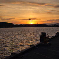 Scotland May 7-1