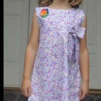 dr bb 2026-MJ in DR dress